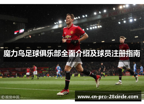 魔力鸟足球俱乐部全面介绍及球员注册指南