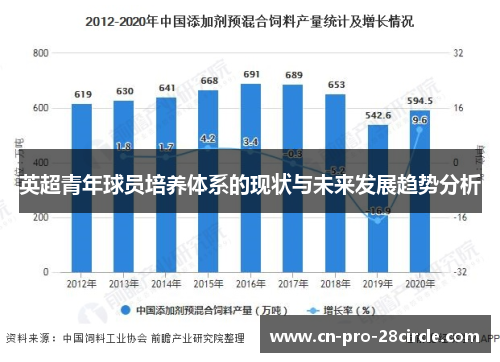 英超青年球员培养体系的现状与未来发展趋势分析