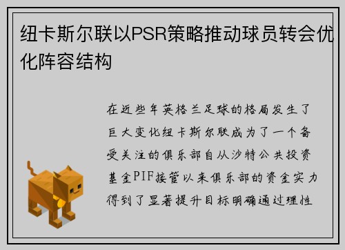 纽卡斯尔联以PSR策略推动球员转会优化阵容结构